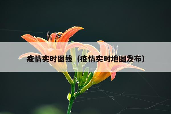 疫情实时图线（疫情实时地图发布）
