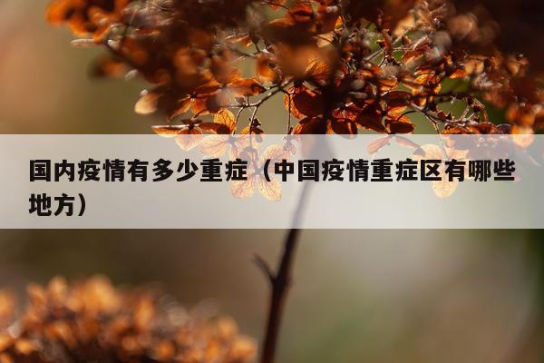 国内疫情有多少重症（中国疫情重症区有哪些地方）