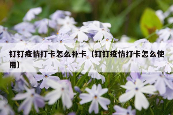 钉钉疫情打卡怎么补卡（钉钉疫情打卡怎么使用）