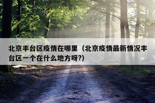 北京丰台区疫情在哪里（北京疫情最新情况丰台区一个在什么地方呀?）