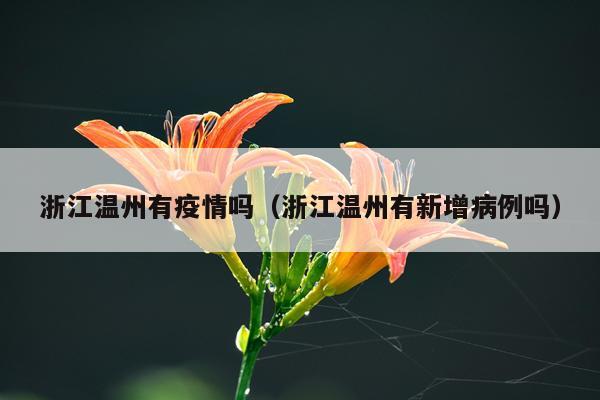浙江温州有疫情吗（浙江温州有新增病例吗）