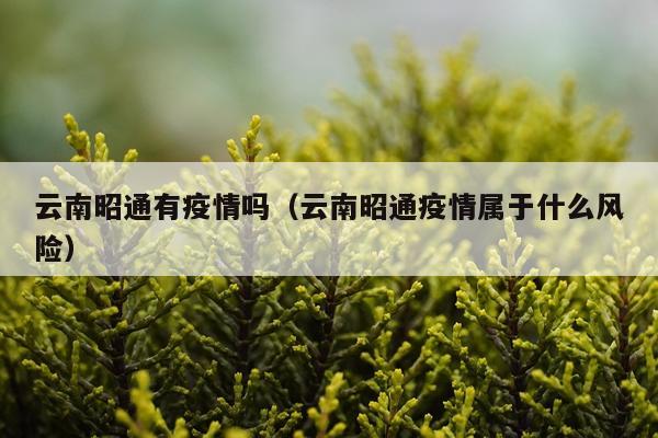 云南昭通有疫情吗（云南昭通疫情属于什么风险）