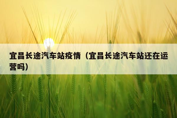 宜昌长途汽车站疫情（宜昌长途汽车站还在运营吗）