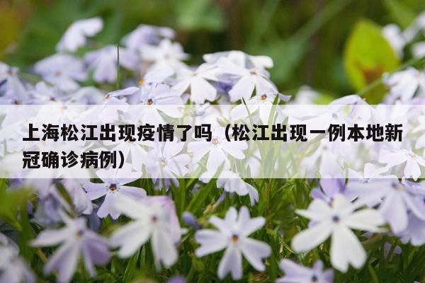上海松江出现疫情了吗（松江出现一例本地新冠确诊病例）