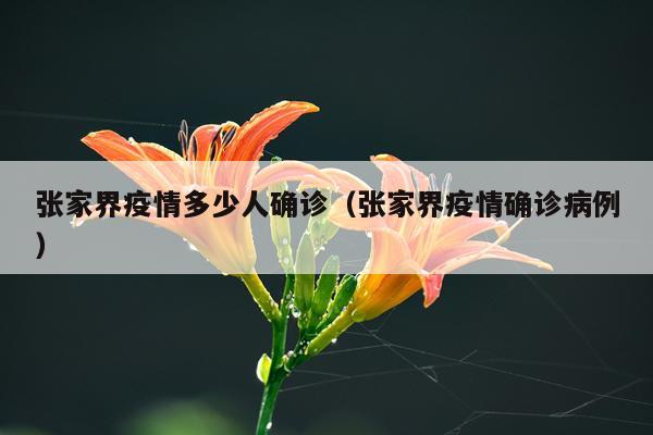 张家界疫情多少人确诊（张家界疫情确诊病例）