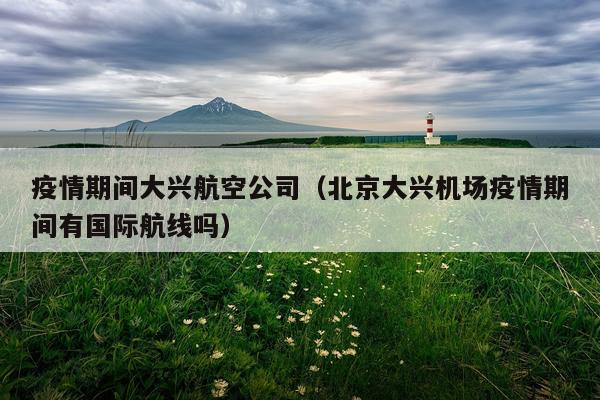 疫情期间大兴航空公司（北京大兴机场疫情期间有国际航线吗）