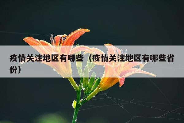 疫情关注地区有哪些（疫情关注地区有哪些省份）