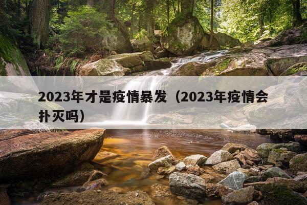 2023年才是疫情暴发（2023年疫情会扑灭吗）