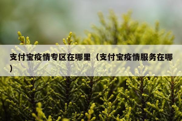 支付宝疫情专区在哪里（支付宝疫情服务在哪）