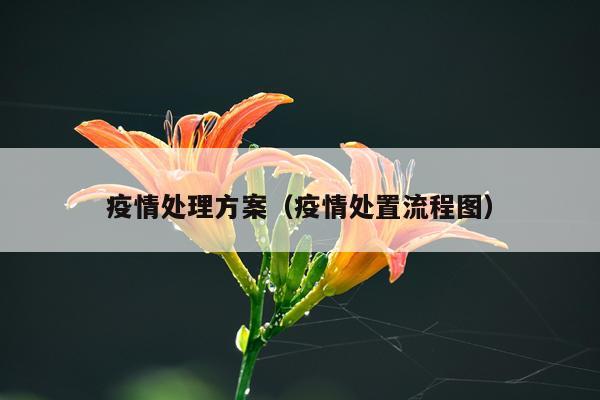 疫情处理方案（疫情处置流程图）