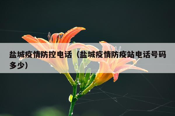 盐城疫情防控电话（盐城疫情防疫站电话号码多少）