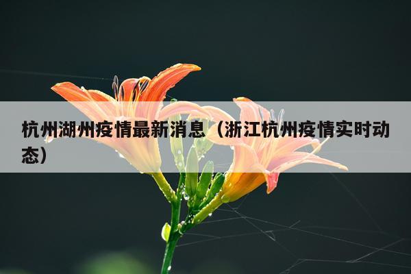 杭州湖州疫情最新消息（浙江杭州疫情实时动态）