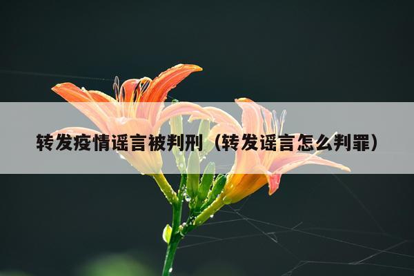 转发疫情谣言被判刑（转发谣言怎么判罪）