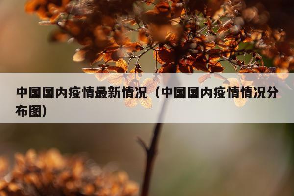 中国国内疫情最新情况（中国国内疫情情况分布图）