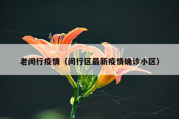 老闵行疫情（闵行区最新疫情确诊小区）