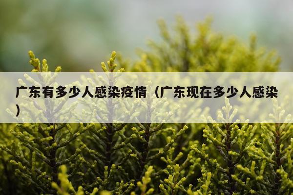 广东有多少人感染疫情（广东现在多少人感染）