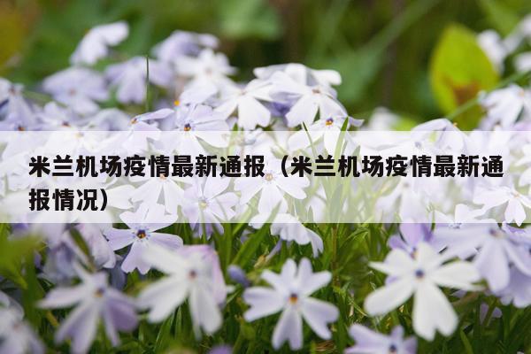 米兰机场疫情最新通报（米兰机场疫情最新通报情况）