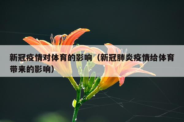 新冠疫情对体育的影响（新冠肺炎疫情给体育带来的影响）