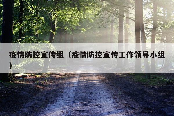疫情防控宣传组（疫情防控宣传工作领导小组）