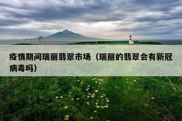 疫情期间瑞丽翡翠市场（瑞丽的翡翠会有新冠病毒吗）