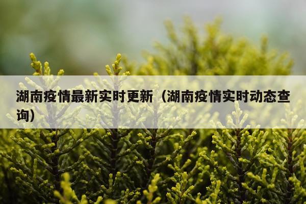湖南疫情最新实时更新（湖南疫情实时动态查询）