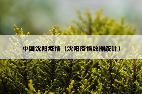 中国沈阳疫情（沈阳疫情数据统计）