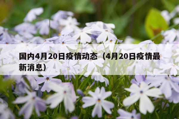 国内4月20日疫情动态（4月20日疫情最新消息）