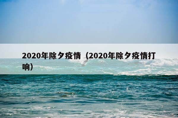 2020年除夕疫情（2020年除夕疫情打响）