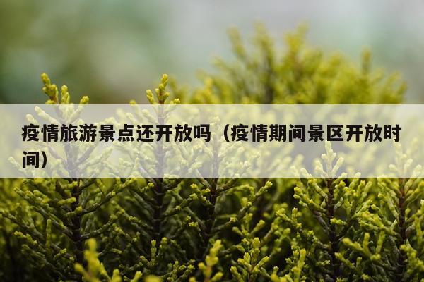 疫情旅游景点还开放吗（疫情期间景区开放时间）