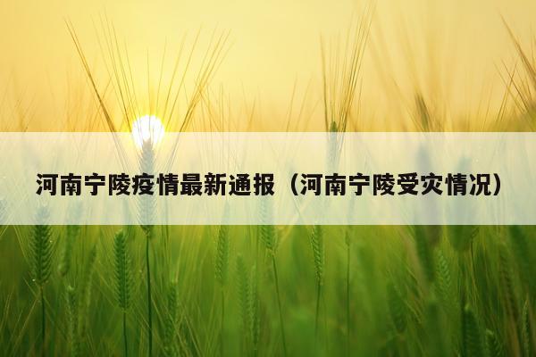 河南宁陵疫情最新通报（河南宁陵受灾情况）