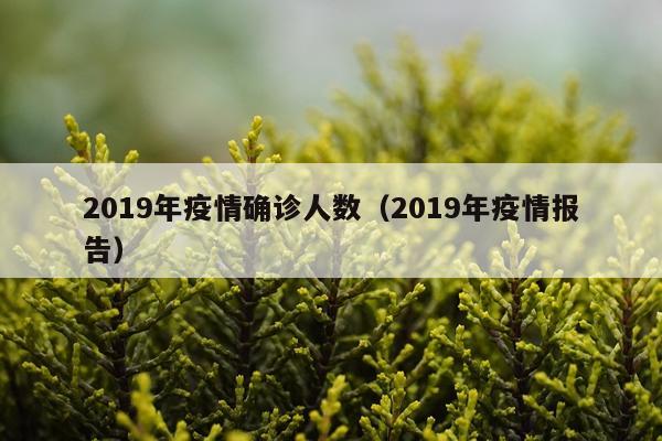 2019年疫情确诊人数（2019年疫情报告）