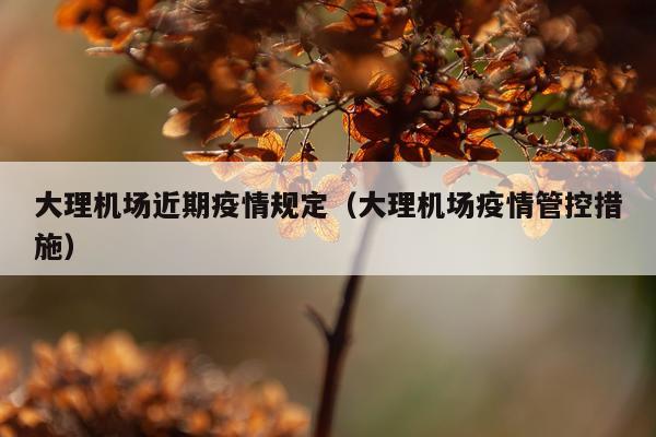 大理机场近期疫情规定（大理机场疫情管控措施）