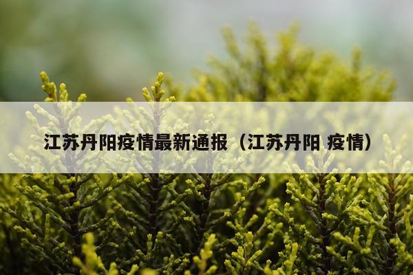 江苏丹阳疫情最新通报（江苏丹阳 疫情）