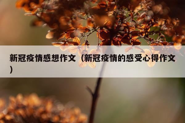 新冠疫情感想作文（新冠疫情的感受心得作文）
