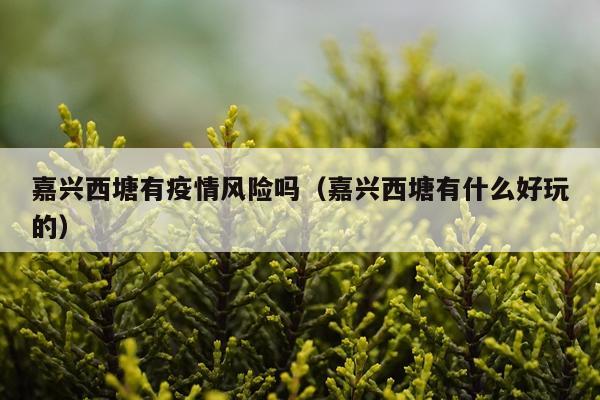 嘉兴西塘有疫情风险吗（嘉兴西塘有什么好玩的）