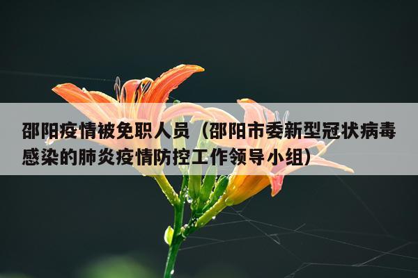 邵阳疫情被免职人员（邵阳市委新型冠状病毒感染的肺炎疫情防控工作领导小组）