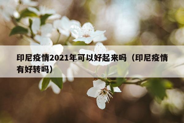 印尼疫情2021年可以好起来吗（印尼疫情有好转吗）