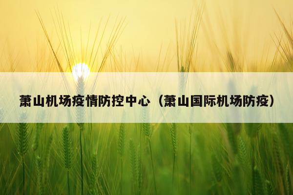 萧山机场疫情防控中心（萧山国际机场防疫）