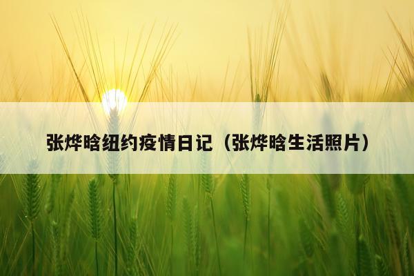 张烨晗纽约疫情日记（张烨晗生活照片）