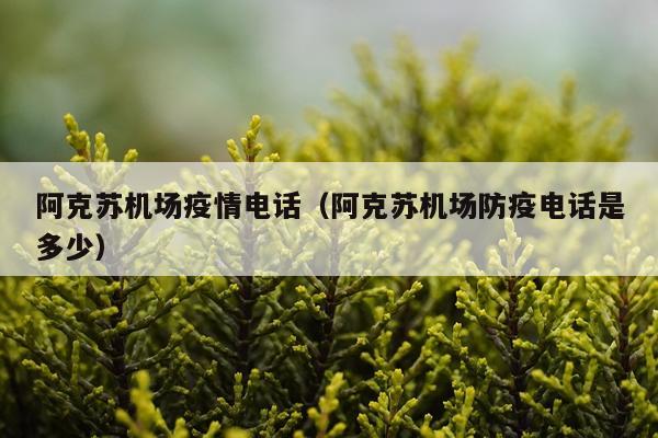 阿克苏机场疫情电话（阿克苏机场防疫电话是多少）