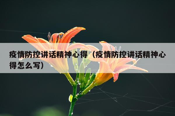 疫情防控讲话精神心得（疫情防控讲话精神心得怎么写）