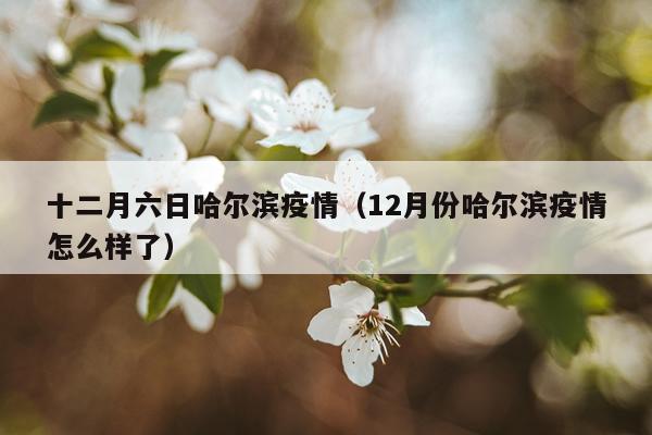 十二月六日哈尔滨疫情（12月份哈尔滨疫情怎么样了）