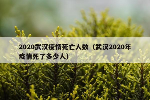 2020武汉疫情死亡人数（武汉2020年疫情死了多少人）