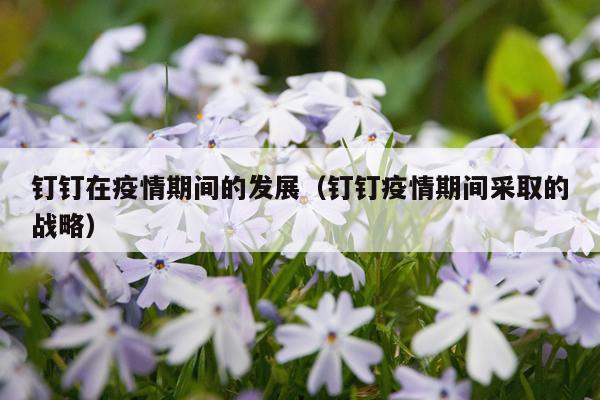 钉钉在疫情期间的发展（钉钉疫情期间采取的战略）