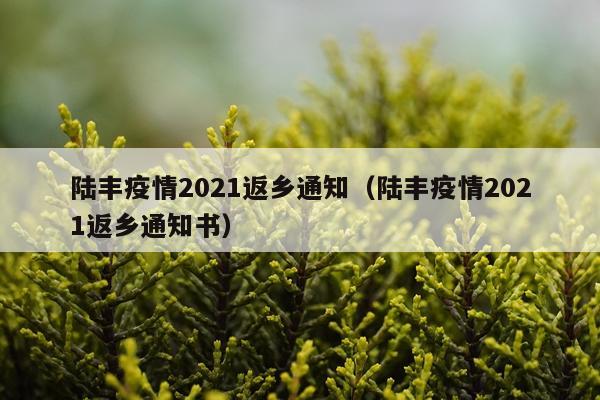 陆丰疫情2021返乡通知（陆丰疫情2021返乡通知书）