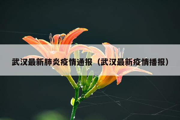 武汉最新肺炎疫情通报（武汉最新疫情播报）