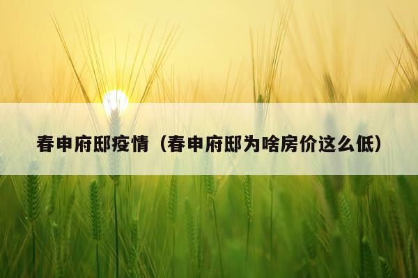 春申府邸疫情（春申府邸为啥房价这么低）