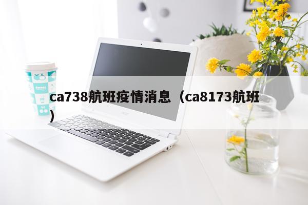 ca738航班疫情消息（ca8173航班）