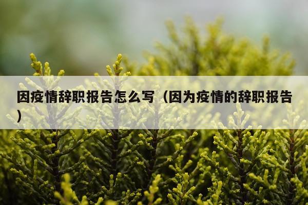 因疫情辞职报告怎么写（因为疫情的辞职报告）