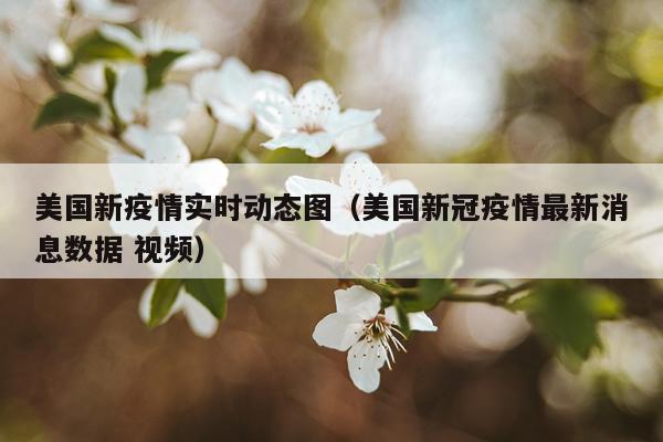 美国新疫情实时动态图（美国新冠疫情最新消息数据 视频）